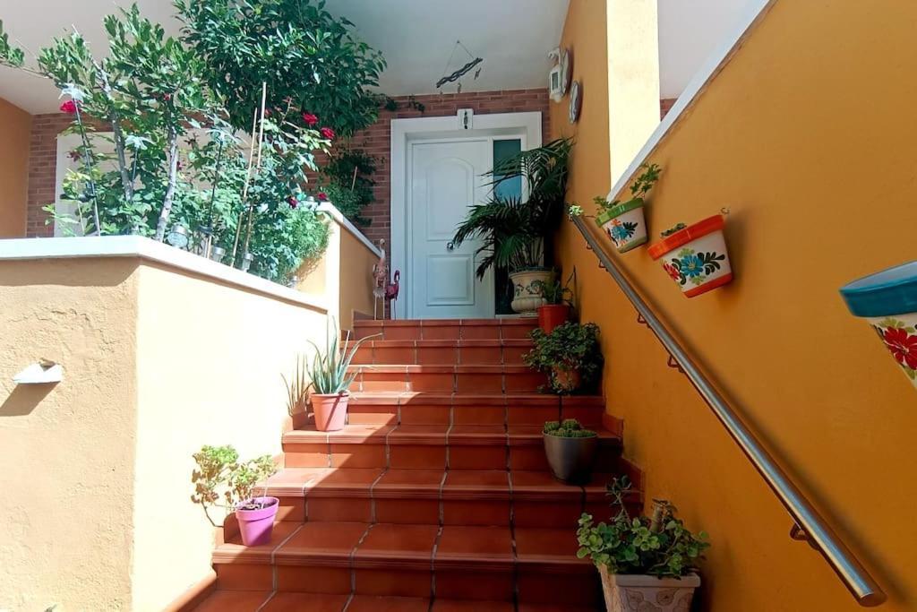 Acogedora Y Confortable Casa Familiar En L'Olleria Екстер'єр фото